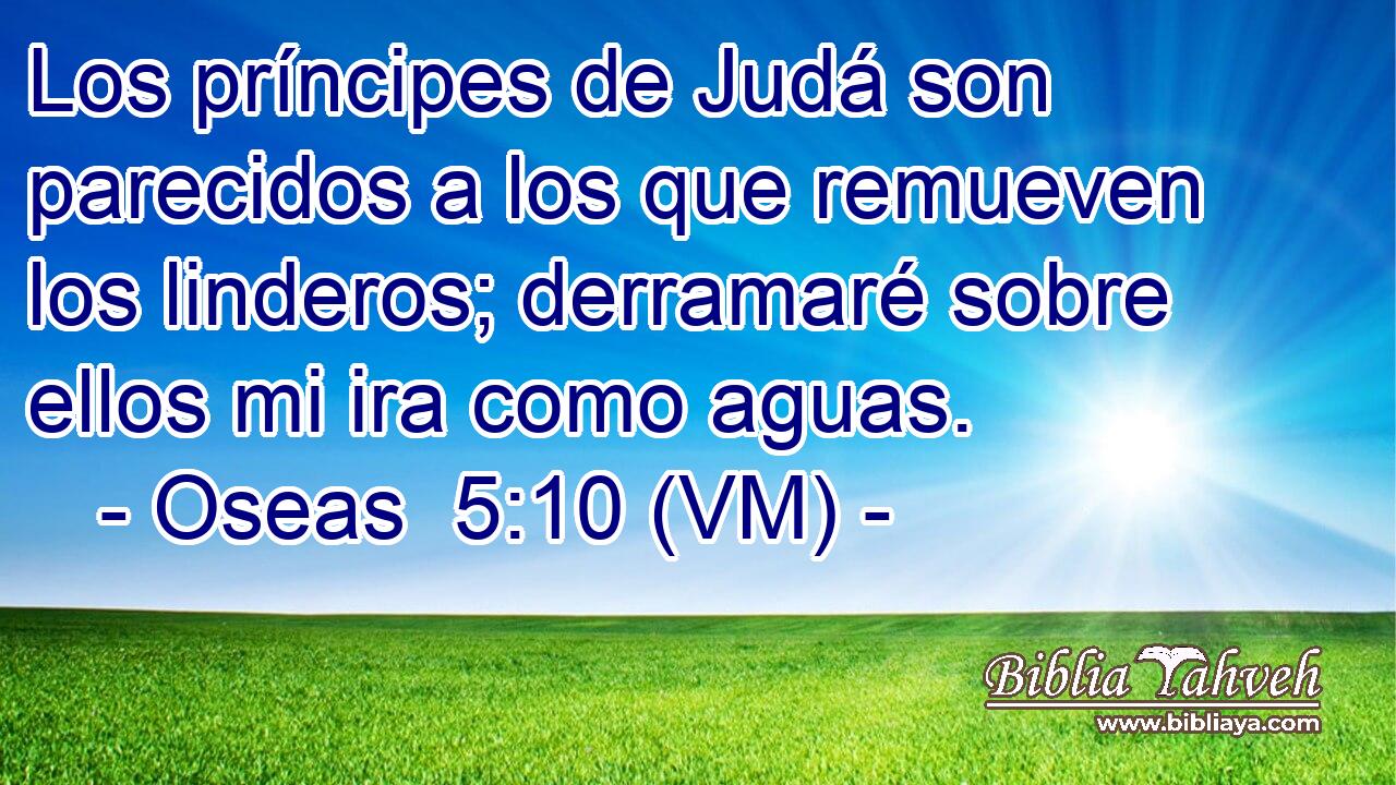  Los príncipes de Judá son parecidos a los que remueven los linderos; derramaré sobre ellos mi ira como aguas. 