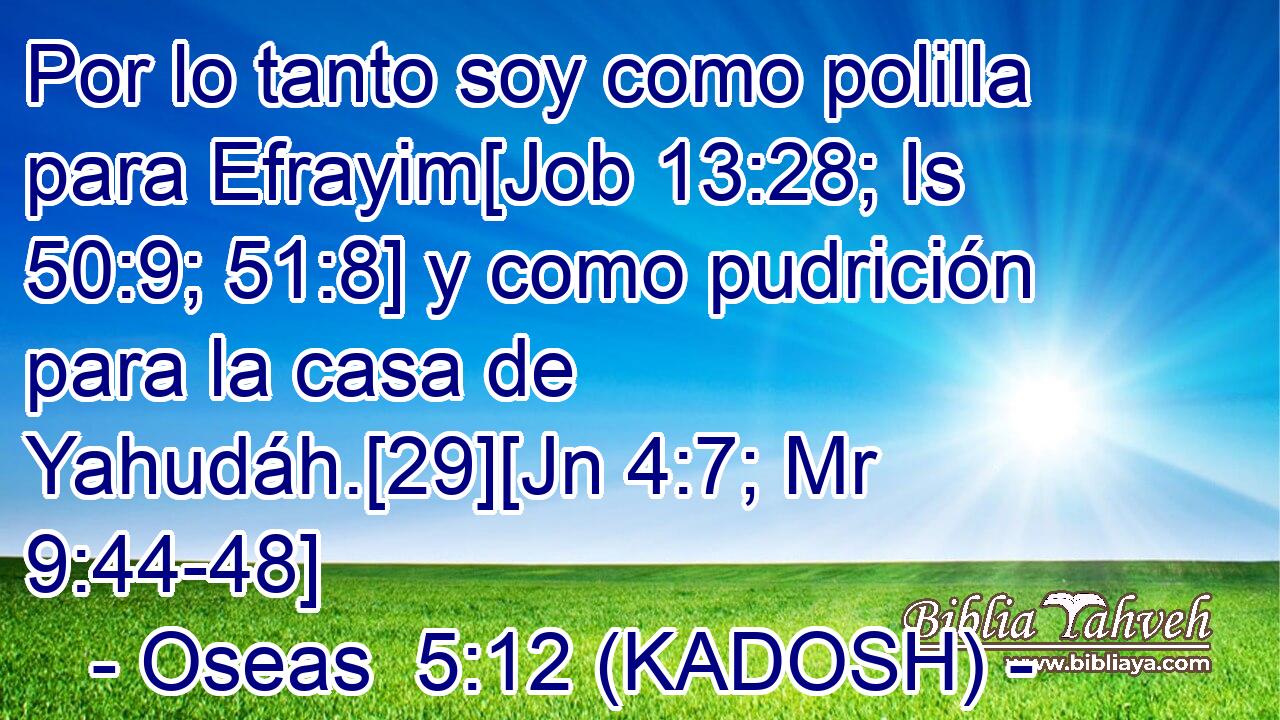  Por lo tanto soy como polilla para Efrayim[Job 13:28; Is 50:9; 51:8] y como pudrición para la casa de Yahudáh.[29][Jn 4:7; Mr 9:44-48] 