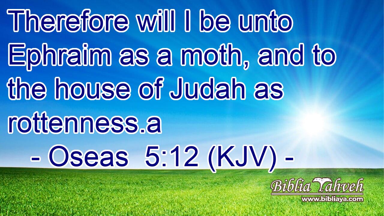 Therefore will I be unto Ephraim as a moth, and to the house of Judah as rottenness.a