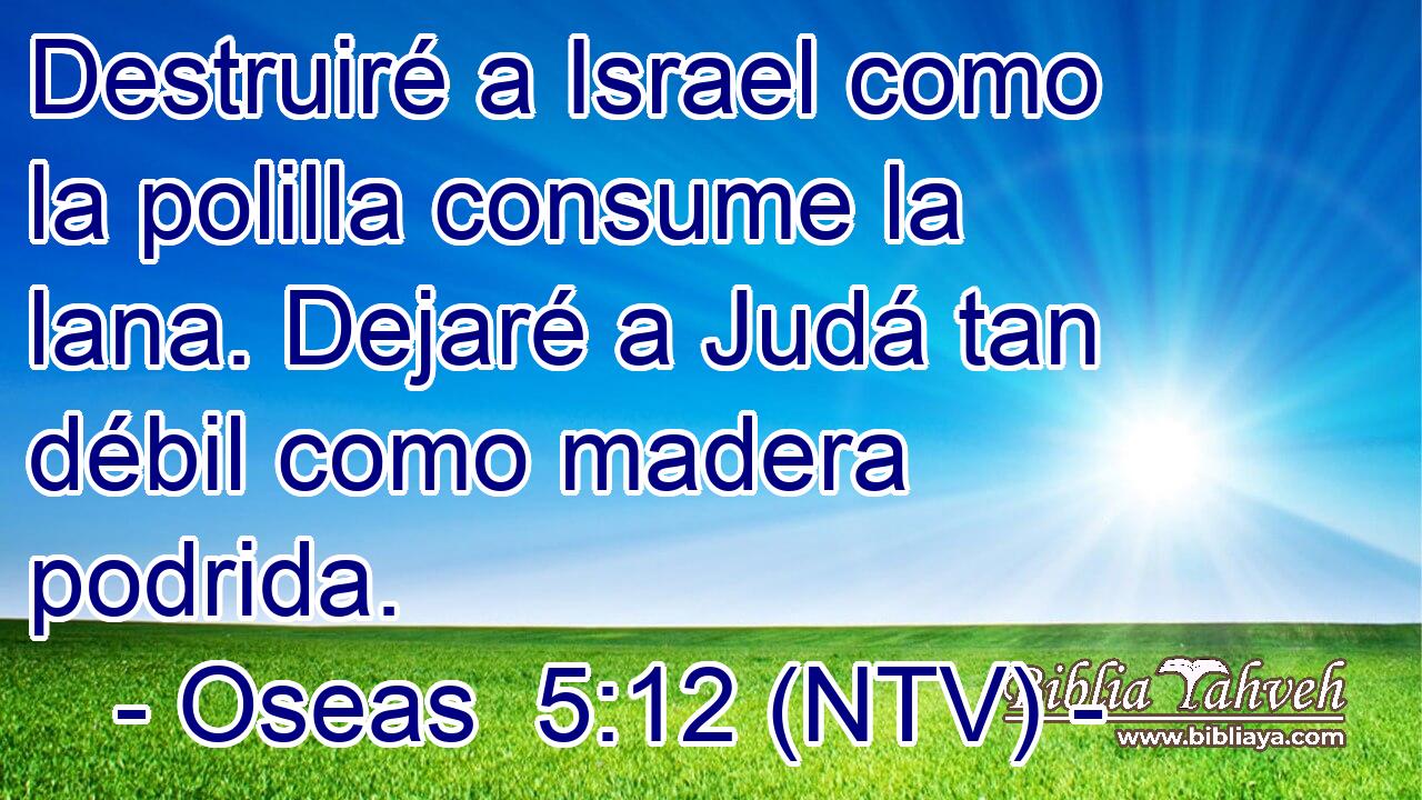 Destruiré a Israel como la polilla consume la lana. Dejaré a Judá tan débil como madera podrida.