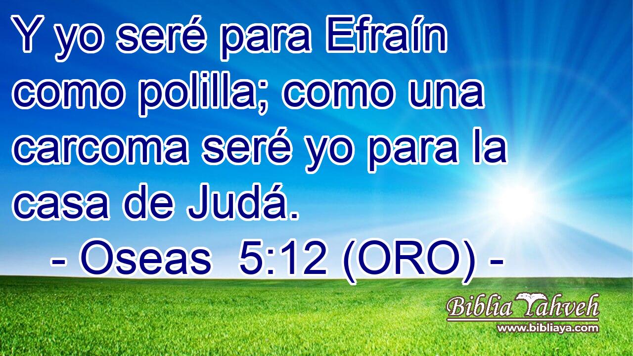  Y yo seré para Efraín como polilla; como una carcoma seré yo para la casa de Judá. 