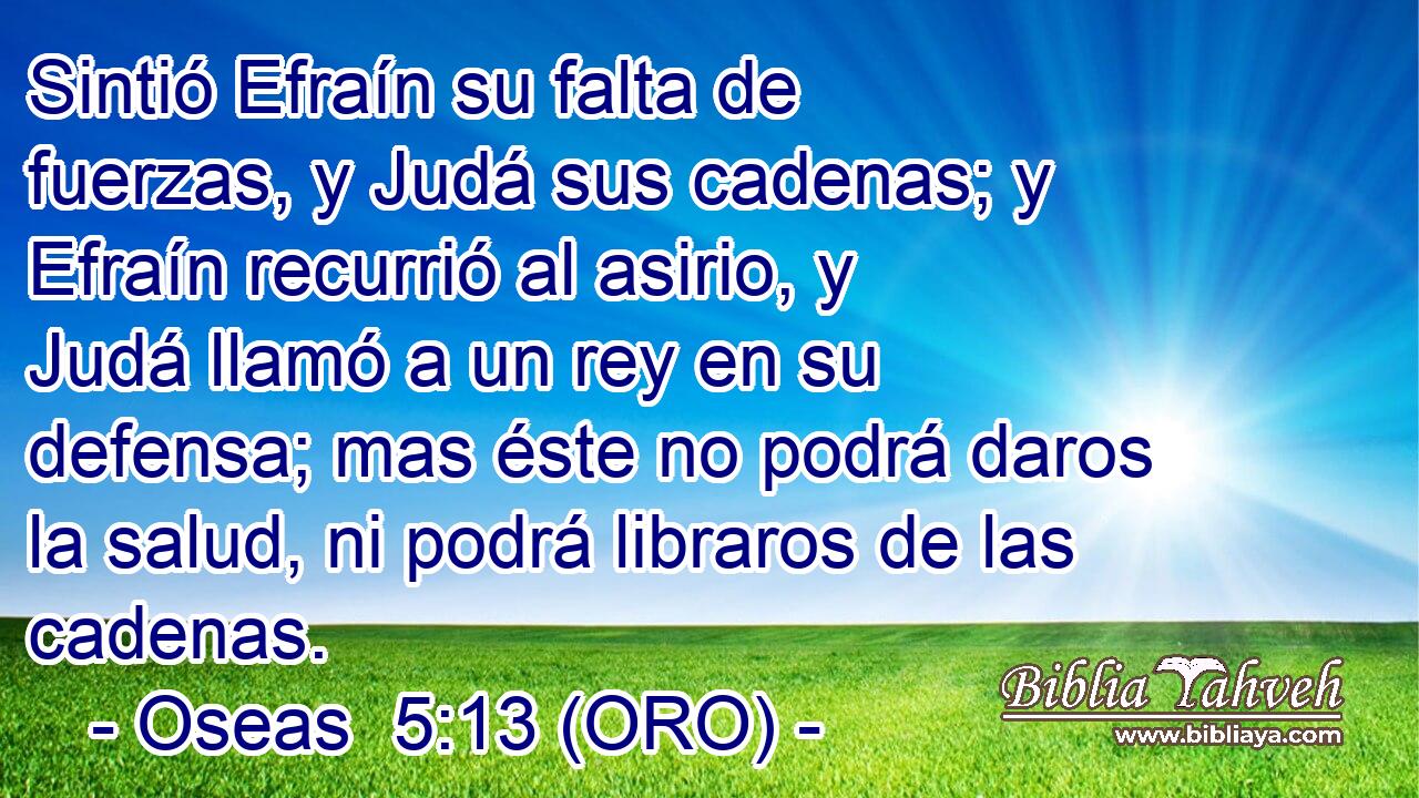  Sintió Efraín su falta de fuerzas, y Judá sus cadenas; y Efraín recurrió al asirio, y Judá llamó a un rey en su defensa; mas éste no podrá daros la salud, ni podrá libraros de las cadenas. 