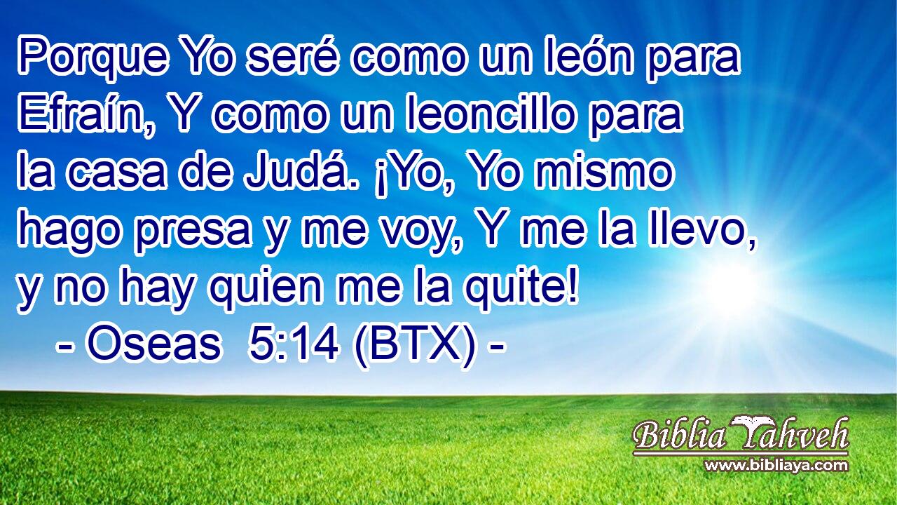 Porque Yo seré como un león para Efraín, Y como un leoncillo para la casa de Judá. ¡Yo, Yo mismo hago presa y me voy, Y me la llevo, y no hay quien me la quite!