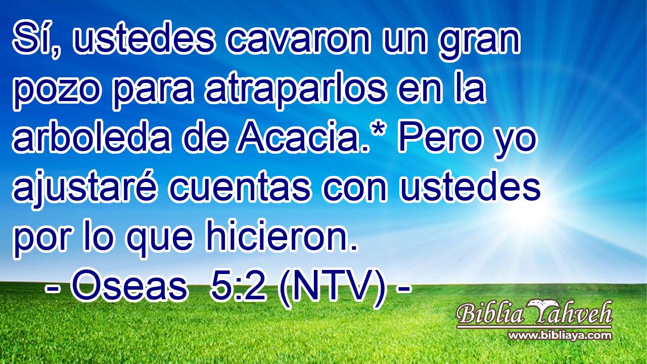 Sí, ustedes cavaron un gran pozo para atraparlos en la arboleda de Acacia.* Pero yo ajustaré cuentas con ustedes por lo que hicieron.