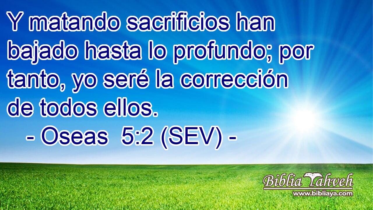 Y matando sacrificios han bajado hasta lo profundo; por tanto, yo seré la corrección de todos ellos.