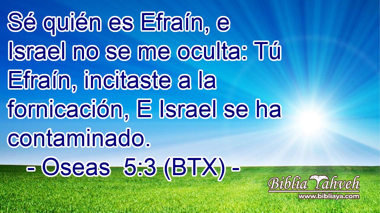 Sé quién es Efraín, e Israel no se me oculta: Tú Efraín, incitaste a la fornicación, E Israel se ha contaminado.