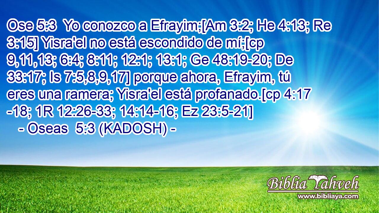  Yo conozco a Efrayim;[Am 3:2; He 4:13; Re 3:15] Yisra'el no está escondido de mí;[cp 9,11,13; 6:4; 8:11; 12:1; 13:1; Ge 48:19-20; De 33:17; Is 7:5,8,9,17] porque ahora, Efrayim, tú eres una ramera; Yisra'el está profanado.[cp 4:17 -18; 1R 12:26-33; 14:14-16; Ez 23:5-21] 