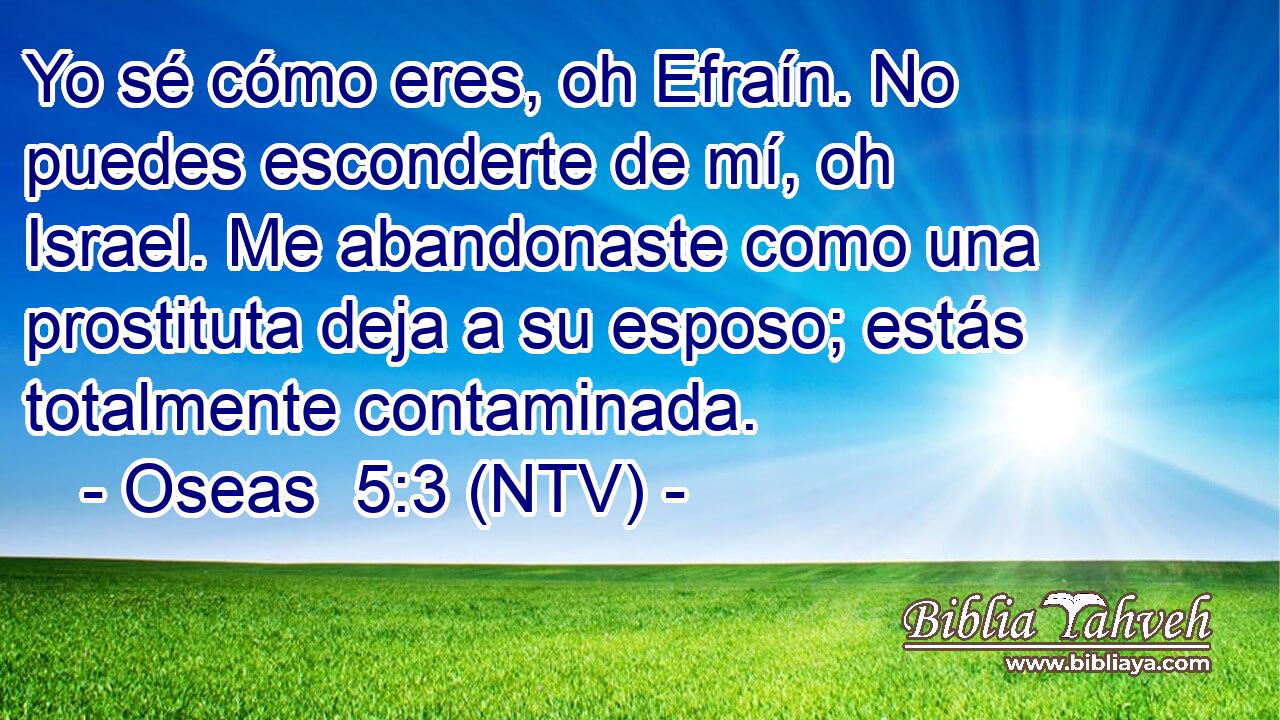 Yo sé cómo eres, oh Efraín. No puedes esconderte de mí, oh Israel. Me abandonaste como una prostituta deja a su esposo; estás totalmente contaminada.