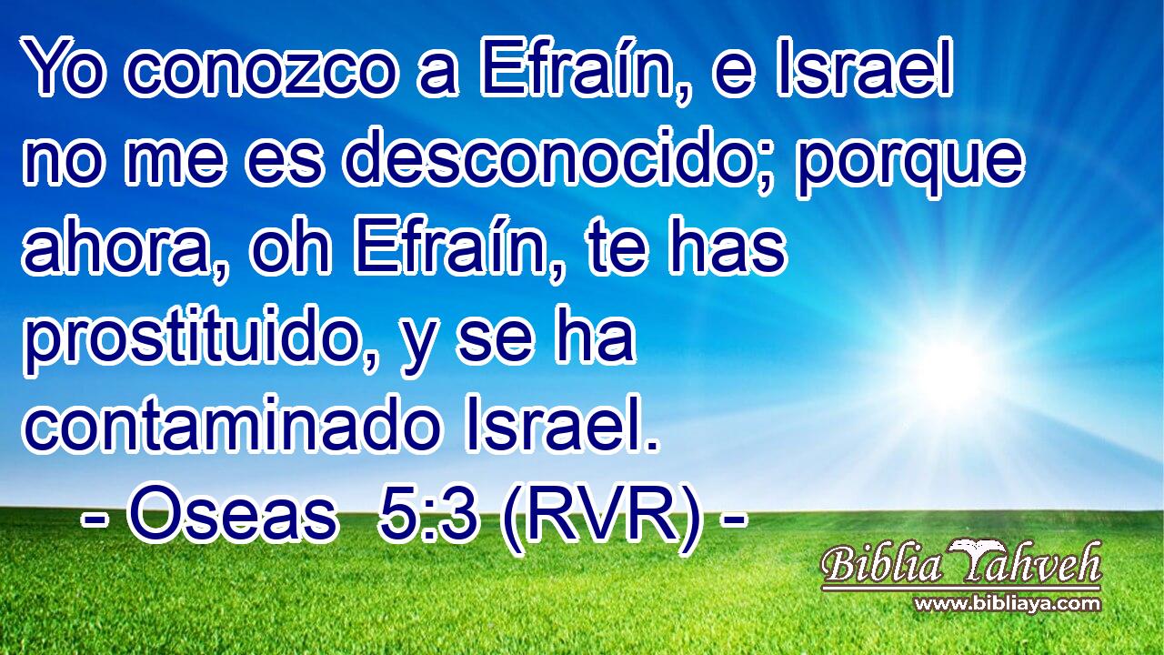 Yo conozco a Efraín, e Israel no me es desconocido; porque ahora, oh Efraín, te has prostituido, y se ha contaminado Israel.