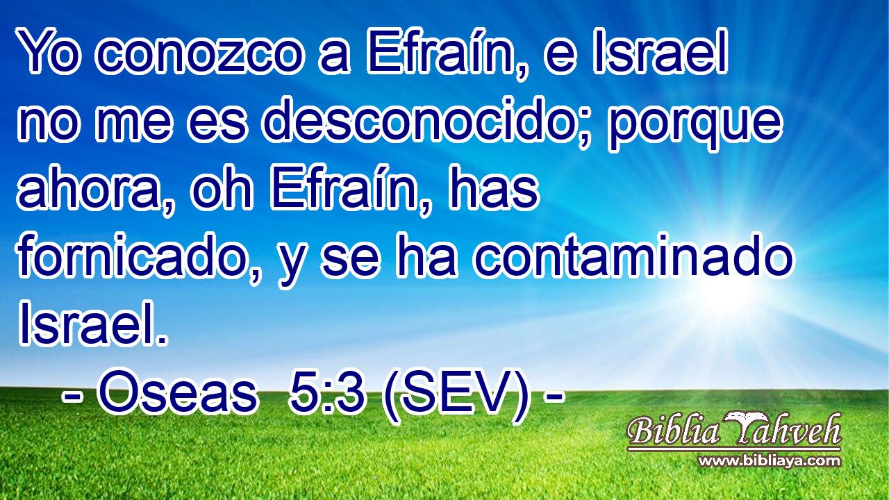 Yo conozco a Efraín, e Israel no me es desconocido; porque ahora, oh Efraín, has fornicado, y se ha contaminado Israel.