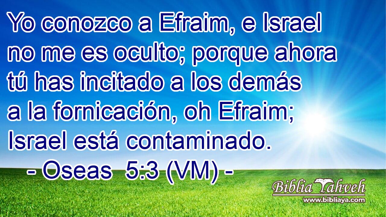  Yo conozco a Efraim, e Israel no me es oculto; porque ahora tú has incitado a los demás a la fornicación, oh Efraim; Israel está contaminado. 