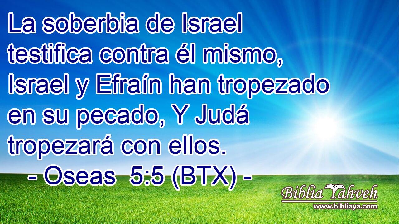 La soberbia de Israel testifica contra él mismo, Israel y Efraín han tropezado en su pecado, Y Judá tropezará con ellos.