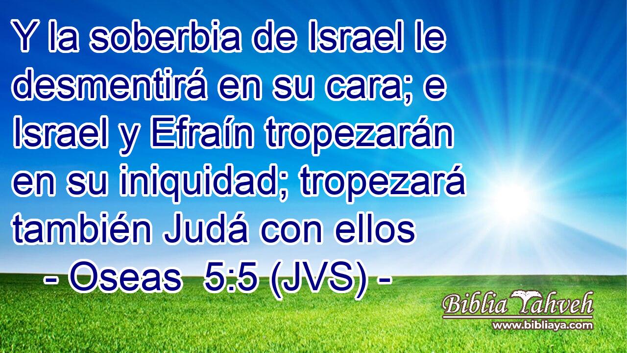 Y la soberbia de Israel le desmentirá en su cara; e Israel y Efraín tropezarán en su iniquidad; tropezará también Judá con ellos