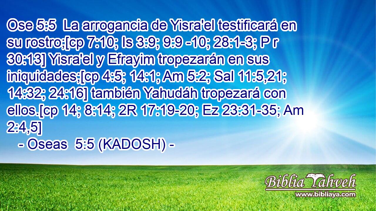  La arrogancia de Yisra'el testificará en su rostro;[cp 7:10; Is 3:9; 9:9 -10; 28:1-3; P r 30:13] Yisra'el y Efrayim tropezarán en sus iniquidades;[cp 4:5; 14:1; Am 5:2; Sal 11:5,21; 14:32; 24:16] también Yahudáh tropezará con ellos.[cp 14; 8:14; 2R 17:19-20; Ez 23:31-35; Am 2:4,5] 
