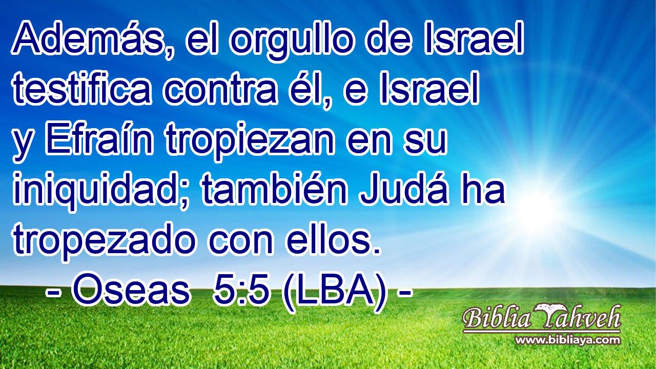 Además, el orgullo de Israel testifica contra él, e Israel y Efraín tropiezan en su iniquidad; también Judá ha tropezado con ellos.