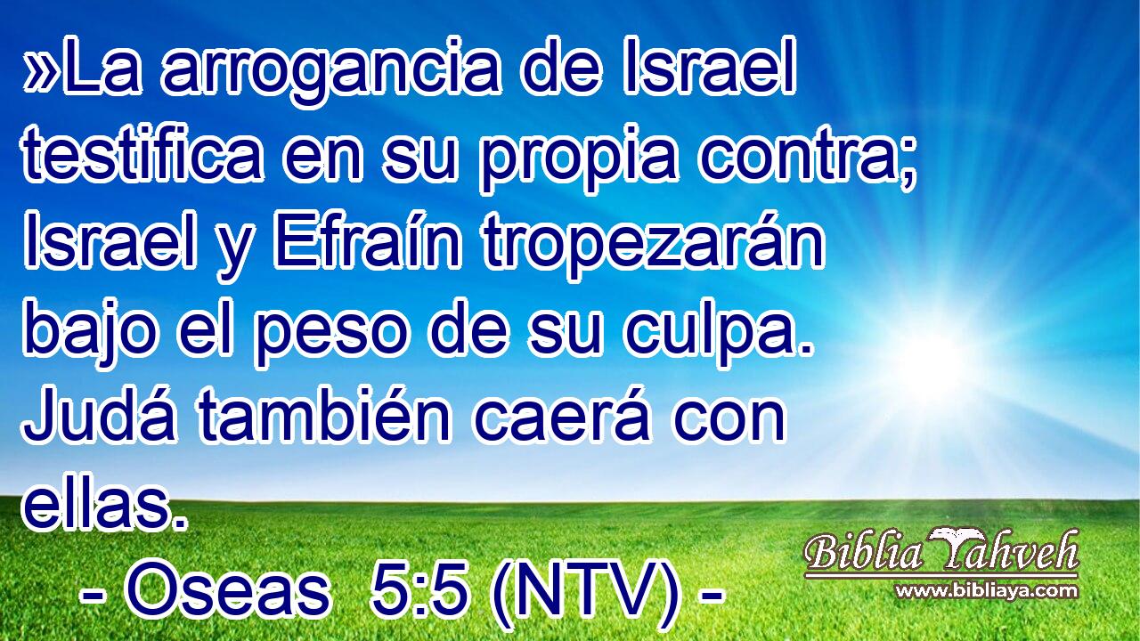 »La arrogancia de Israel testifica en su propia contra; Israel y Efraín tropezarán bajo el peso de su culpa. Judá también caerá con ellas.