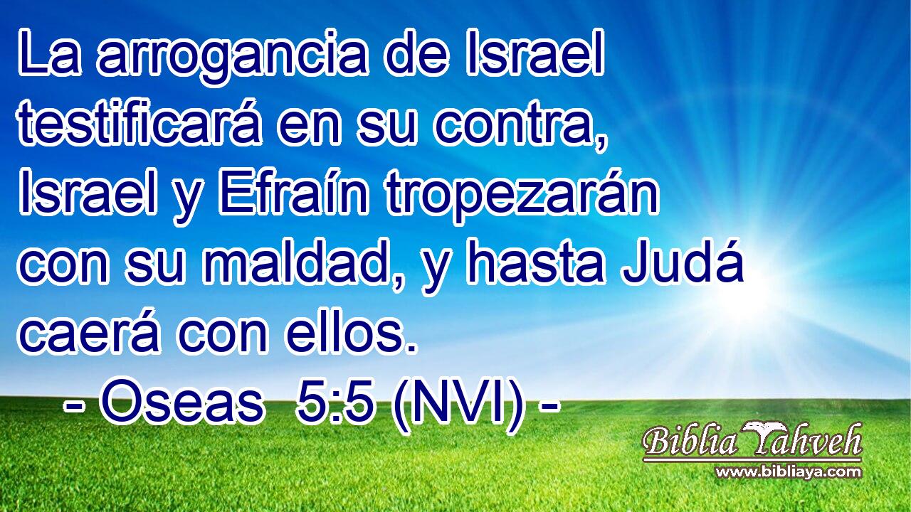  La arrogancia de Israel testificará en su contra, Israel y Efraín tropezarán con su maldad, y hasta Judá caerá con ellos. 