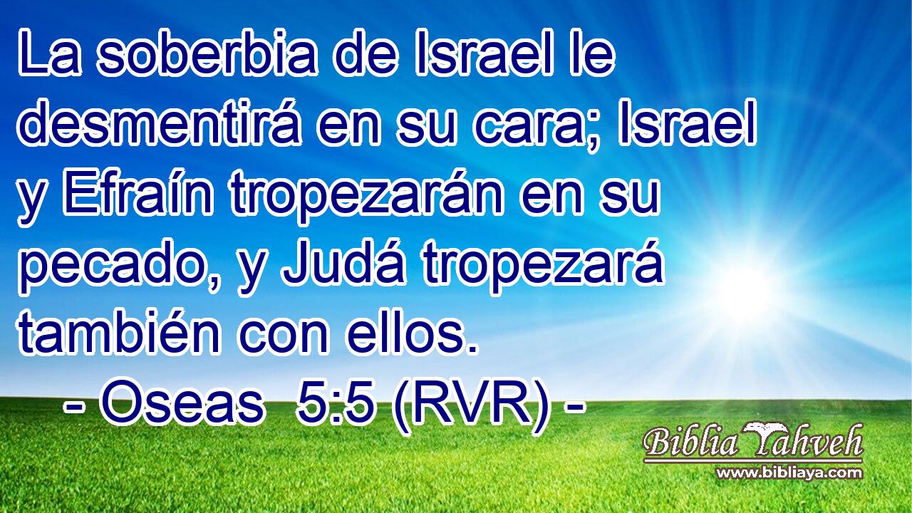 La soberbia de Israel le desmentirá en su cara; Israel y Efraín tropezarán en su pecado, y Judá tropezará también con ellos.