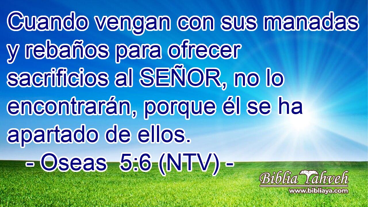 Cuando vengan con sus manadas y rebaños para ofrecer sacrificios al SEÑOR, no lo encontrarán, porque él se ha apartado de ellos.