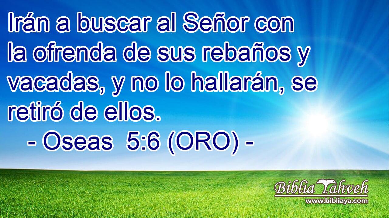  Irán a buscar al Señor con la ofrenda de sus rebaños y vacadas, y no lo hallarán, se retiró de ellos. 