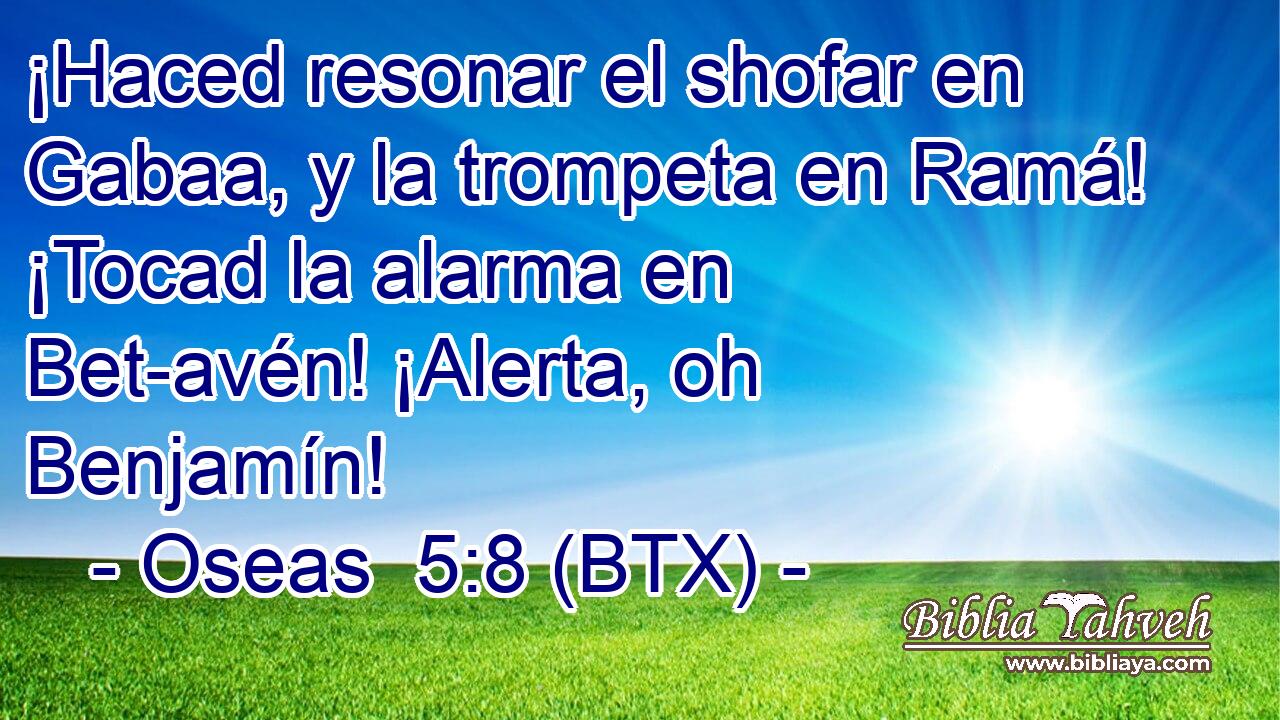 ¡Haced resonar el shofar en Gabaa, y la trompeta en Ramá! ¡Tocad la alarma en Bet-avén! ¡Alerta, oh Benjamín!
