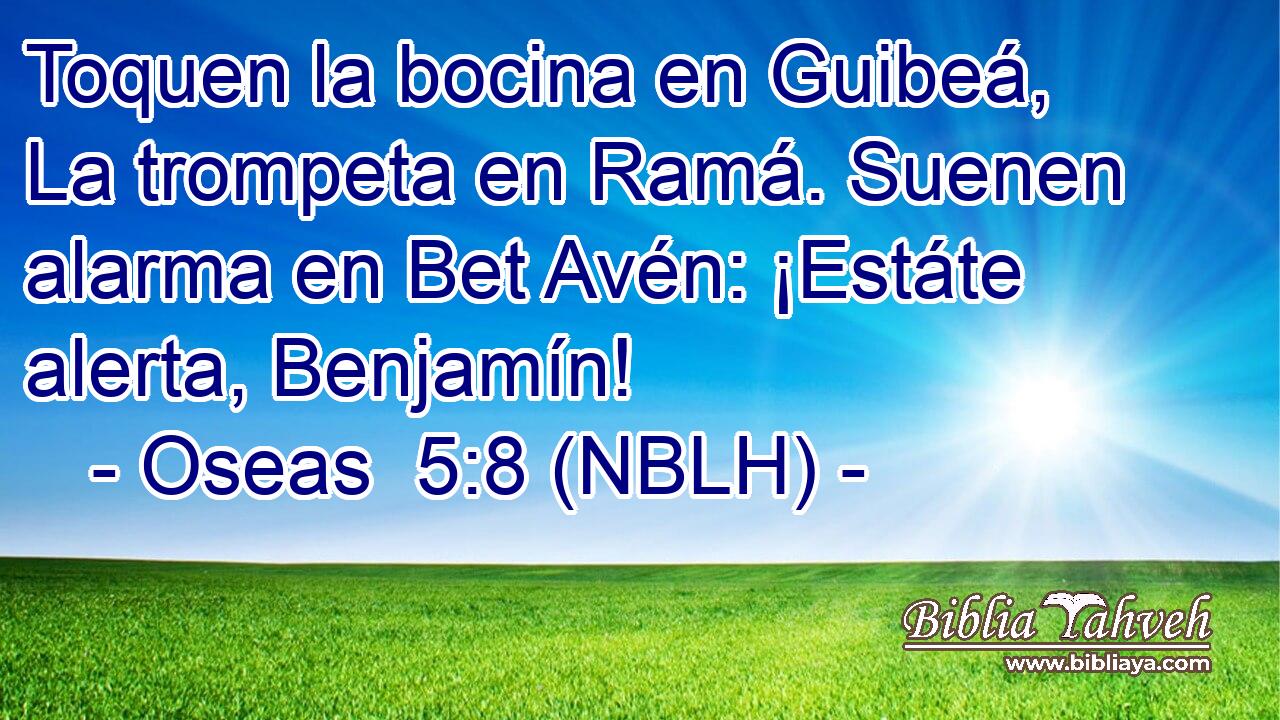  Toquen la bocina en Guibeá, La trompeta en Ramá. Suenen alarma en Bet Avén: ¡Estáte alerta, Benjamín! 