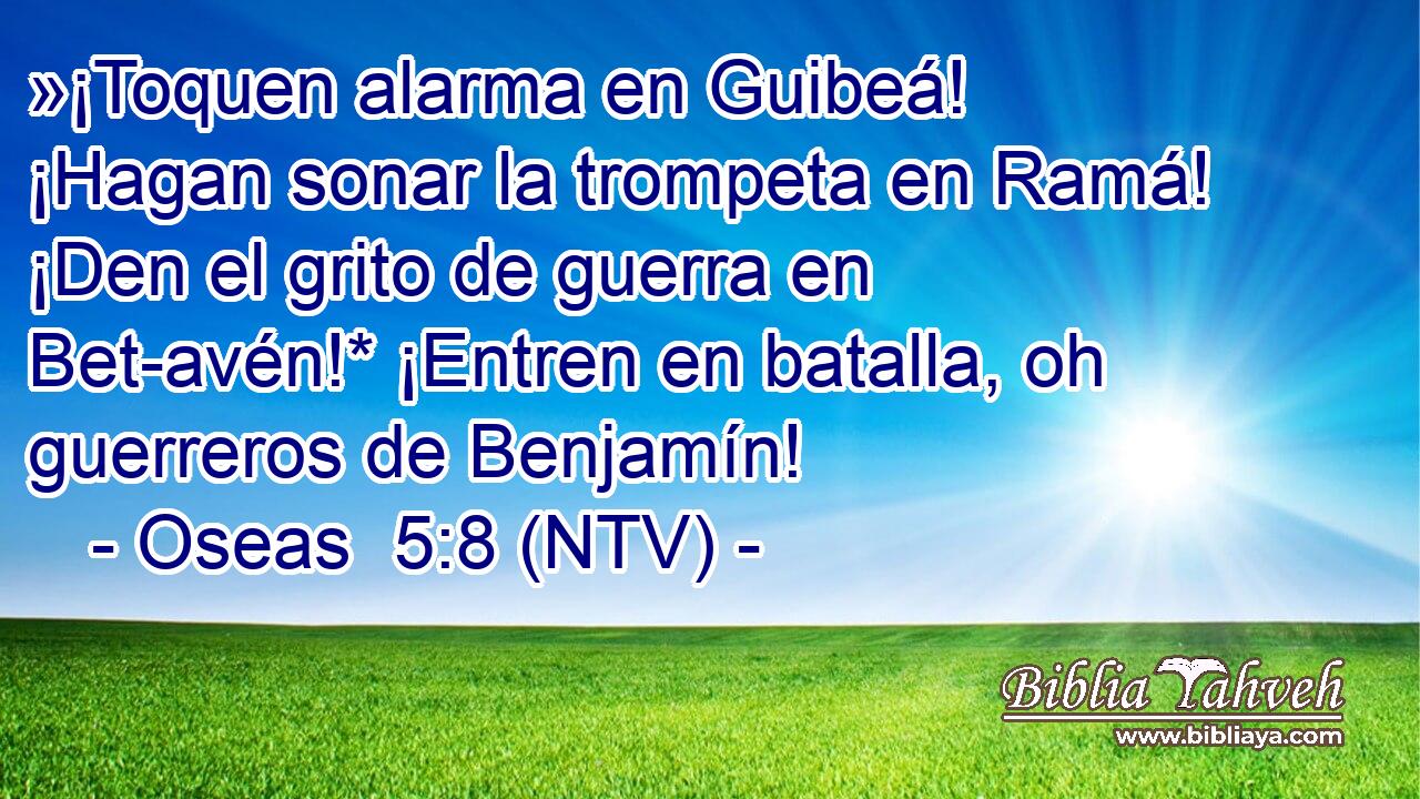 »¡Toquen alarma en Guibeá! ¡Hagan sonar la trompeta en Ramá! ¡Den el grito de guerra en Bet-avén!* ¡Entren en batalla, oh guerreros de Benjamín!