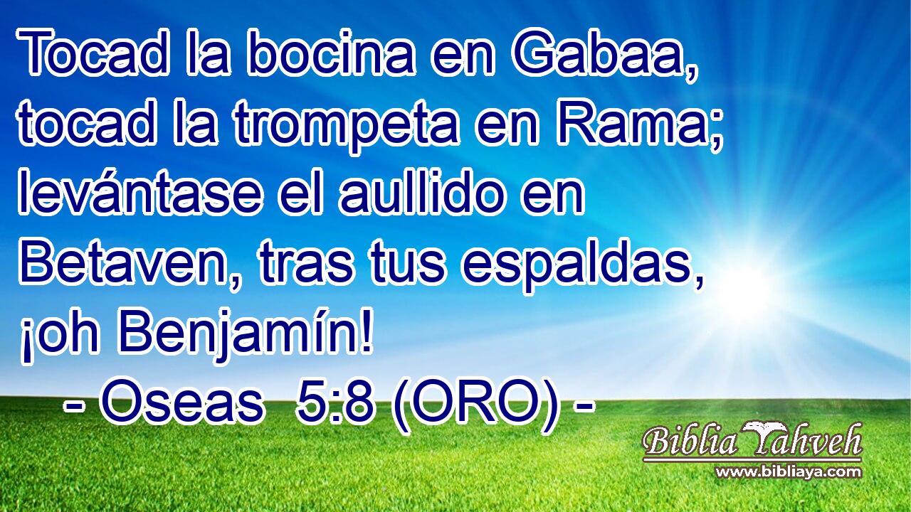  Tocad la bocina en Gabaa, tocad la trompeta en Rama; levántase el aullido en Betaven, tras tus espaldas, ¡oh Benjamín! 