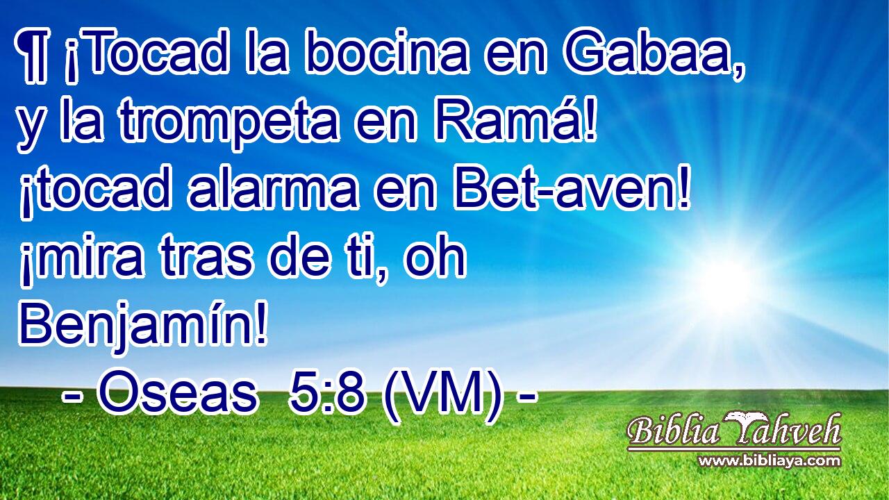  ¶ ¡Tocad la bocina en Gabaa, y la trompeta en Ramá! ¡tocad alarma en Bet-aven! ¡mira tras de ti, oh Benjamín! 