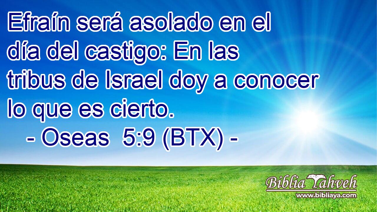 Efraín será asolado en el día del castigo: En las tribus de Israel doy a conocer lo que es cierto.