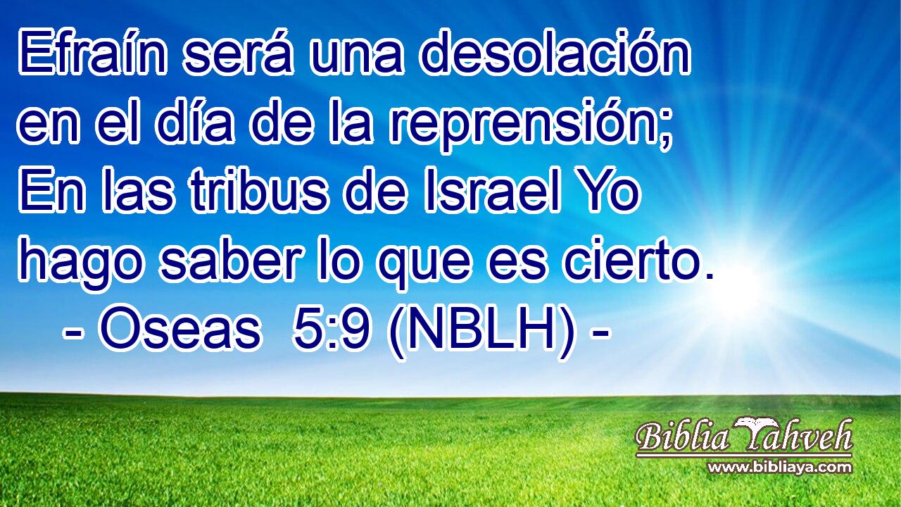  Efraín será una desolación en el día de la reprensión; En las tribus de Israel Yo hago saber lo que es cierto. 