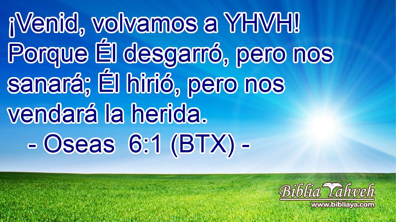 ¡Venid, volvamos a YHVH! Porque Él desgarró, pero nos sanará; Él hirió, pero nos vendará la herida.