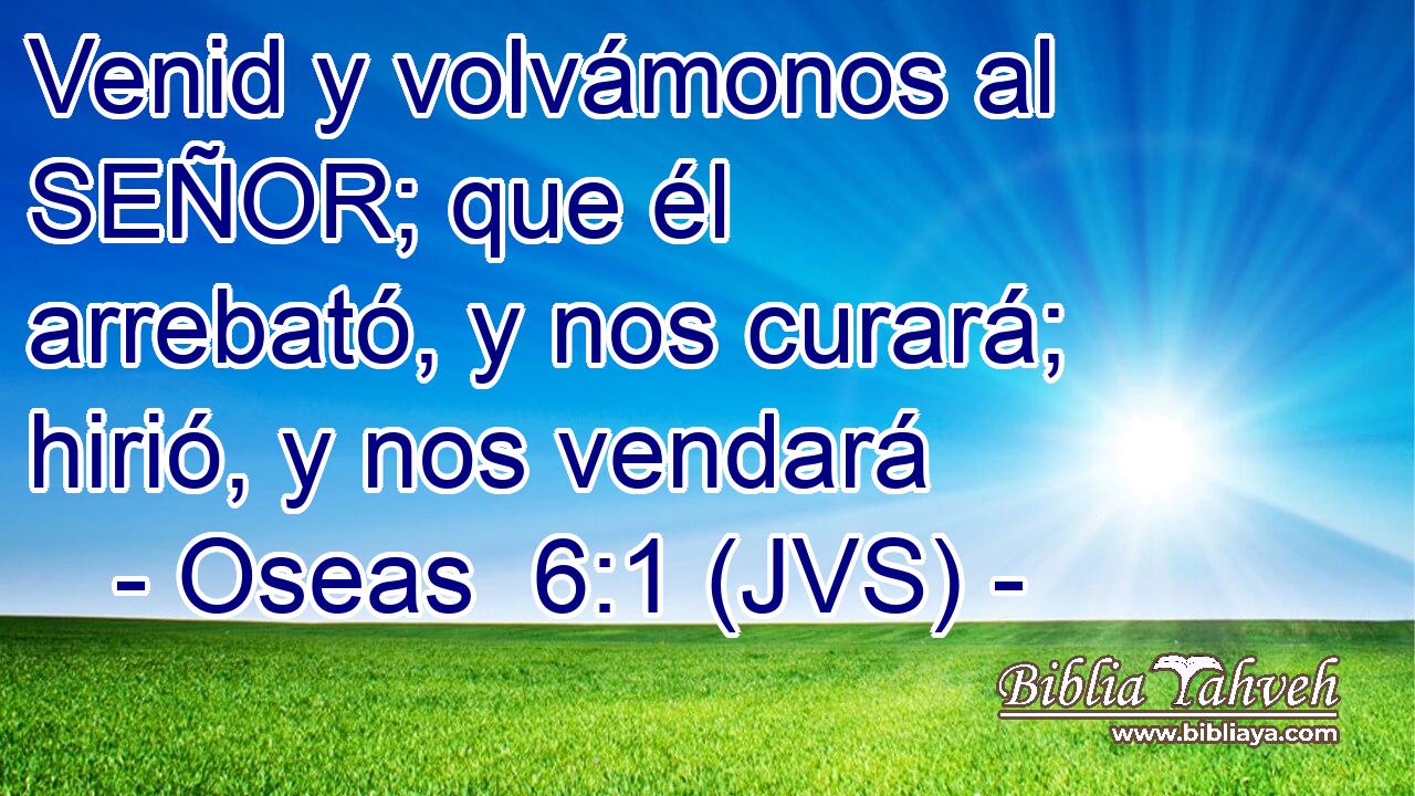 Venid y volvámonos al SEÑOR; que él arrebató, y nos curará; hirió, y nos vendará
