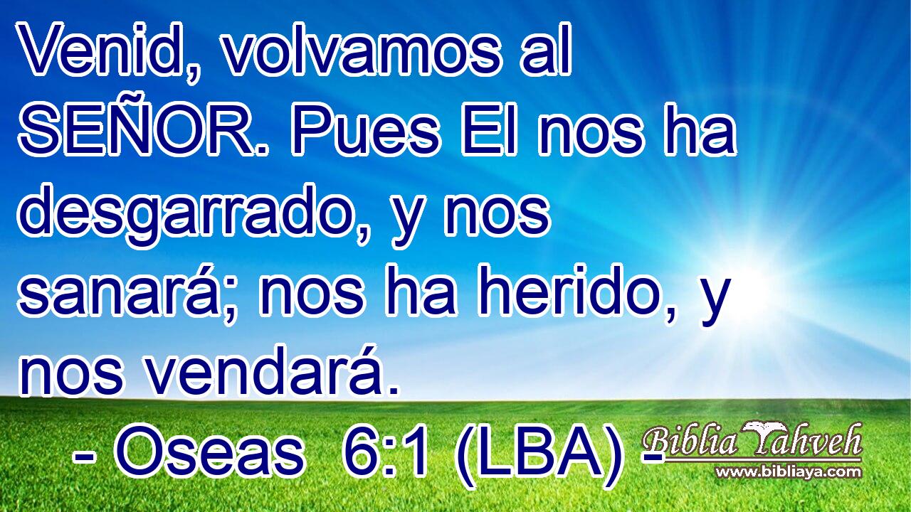 Venid, volvamos al SEÑOR. Pues El nos ha desgarrado, y nos sanará; nos ha herido, y nos vendará.