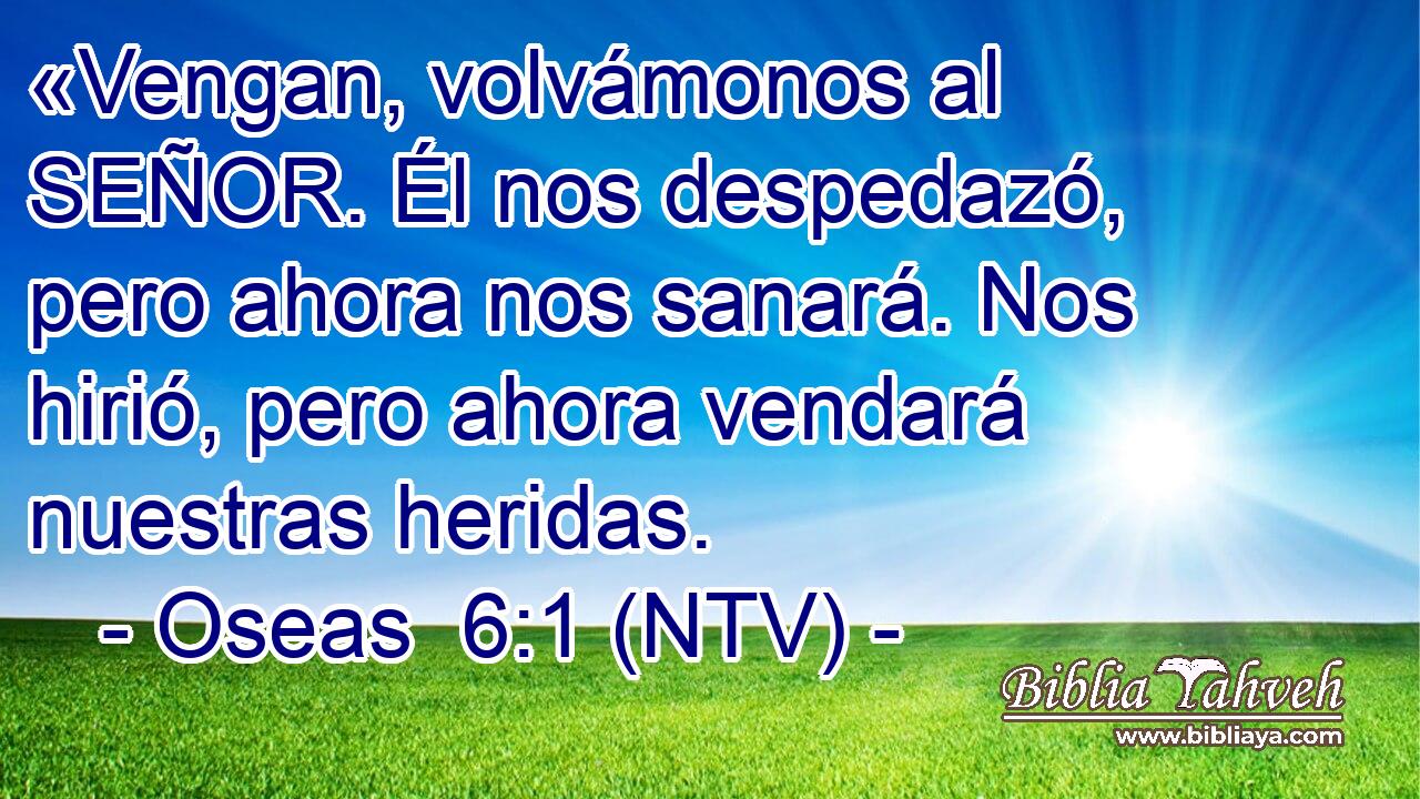 Oseas 6:1 (NTV) - «Vengan, Volvámonos Al SEÑOR. Él Nos Desped...