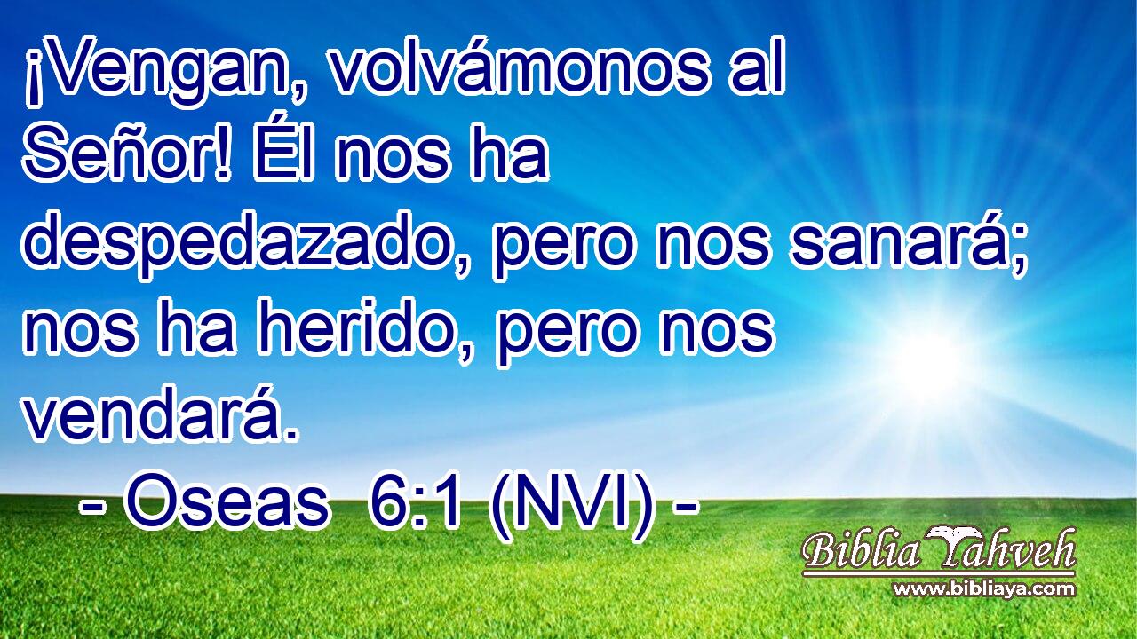  ¡Vengan, volvámonos al Señor! Él nos ha despedazado, pero nos sanará; nos ha herido, pero nos vendará. 