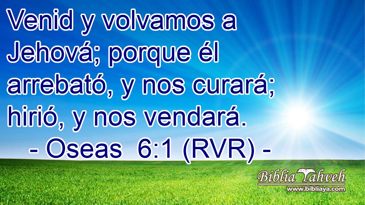 Venid y volvamos a Jehová; porque él arrebató, y nos curará; hirió, y nos vendará.