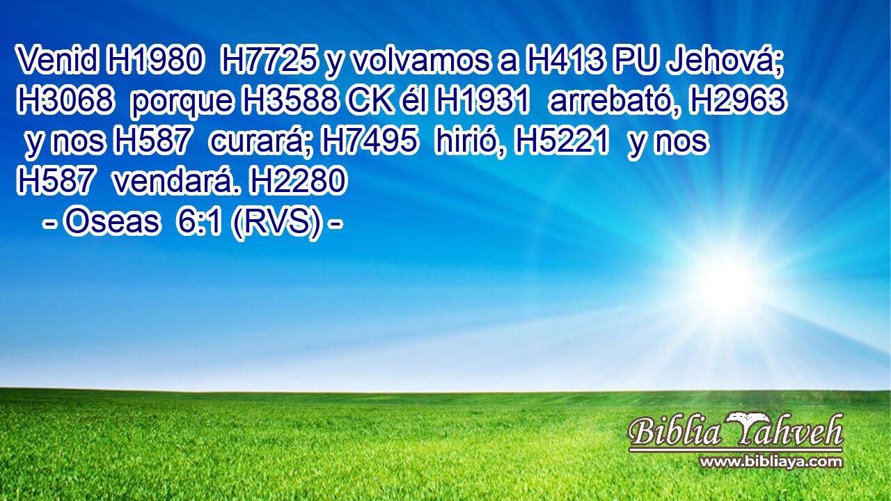 Venid H1980  H7725 y volvamos a H413 PU Jehová; H3068  porque H3588 CK él H1931  arrebató, H2963  y nos H587  curará; H7495  hirió, H5221  y nos H587  vendará. H2280  