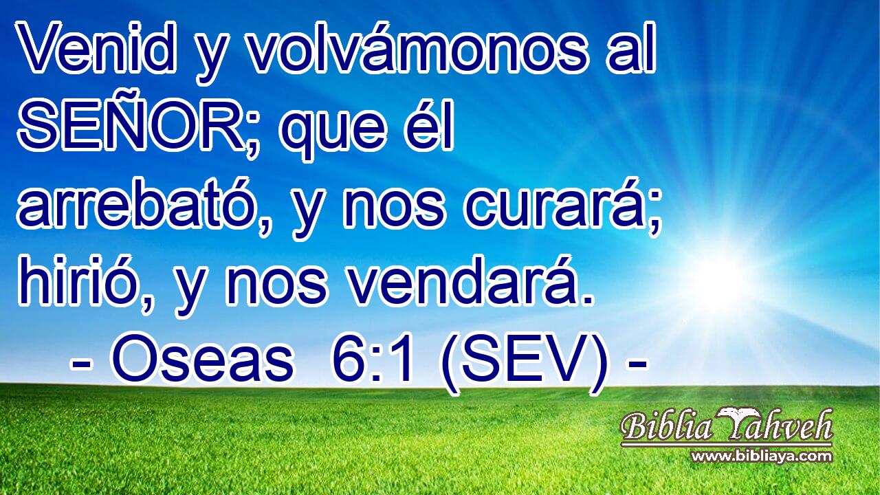 Venid y volvámonos al SEÑOR; que él arrebató, y nos curará; hirió, y nos vendará.