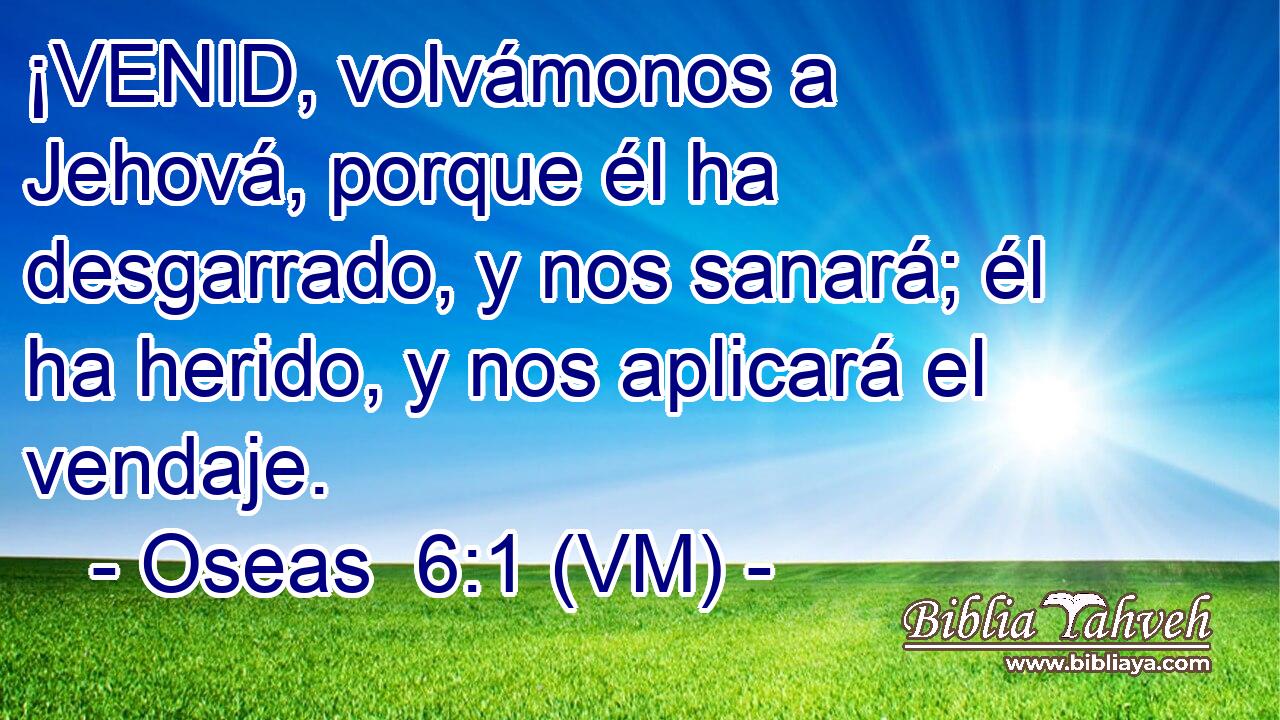  ¡VENID, volvámonos a Jehová, porque él ha desgarrado, y nos sanará; él ha herido, y nos aplicará el vendaje. 