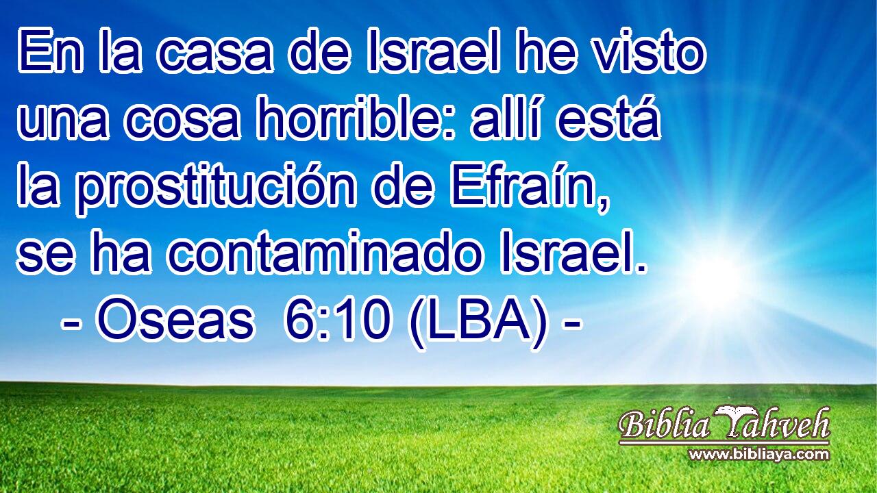 En la casa de Israel he visto una cosa horrible: allí está la prostitución de Efraín, se ha contaminado Israel.
