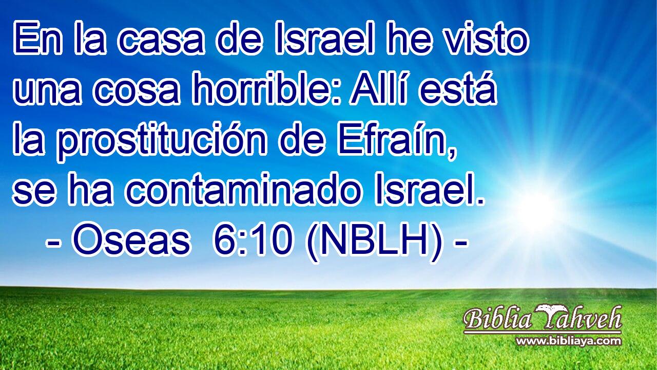  En la casa de Israel he visto una cosa horrible: Allí está la prostitución de Efraín, se ha contaminado Israel. 