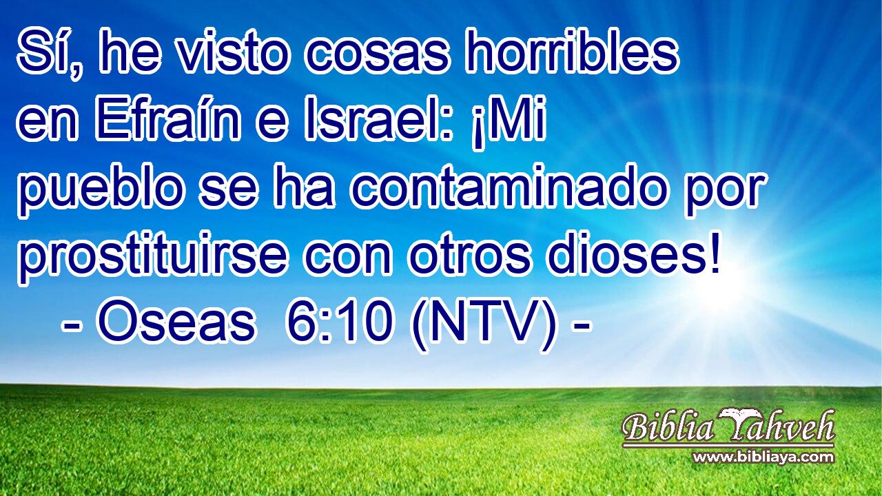 Sí, he visto cosas horribles en Efraín e Israel: ¡Mi pueblo se ha contaminado por prostituirse con otros dioses!