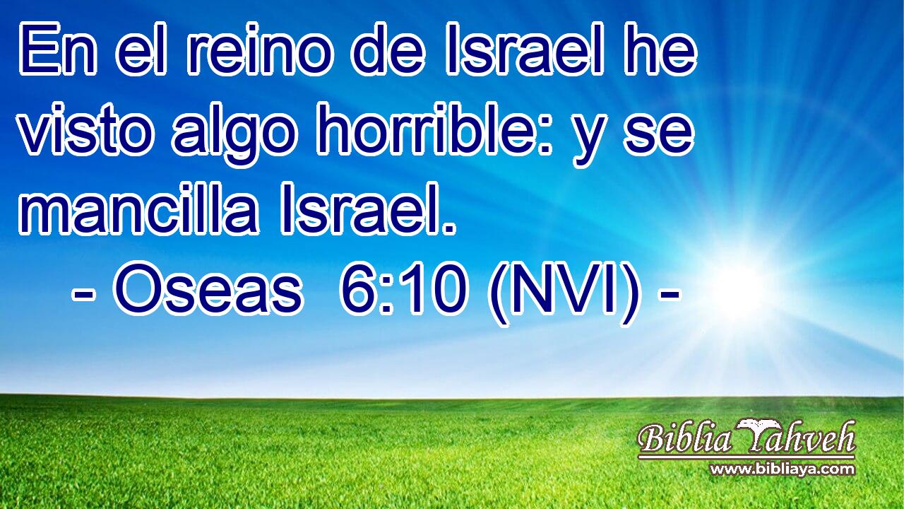  En el reino de Israel he visto algo horrible: y se mancilla Israel. 