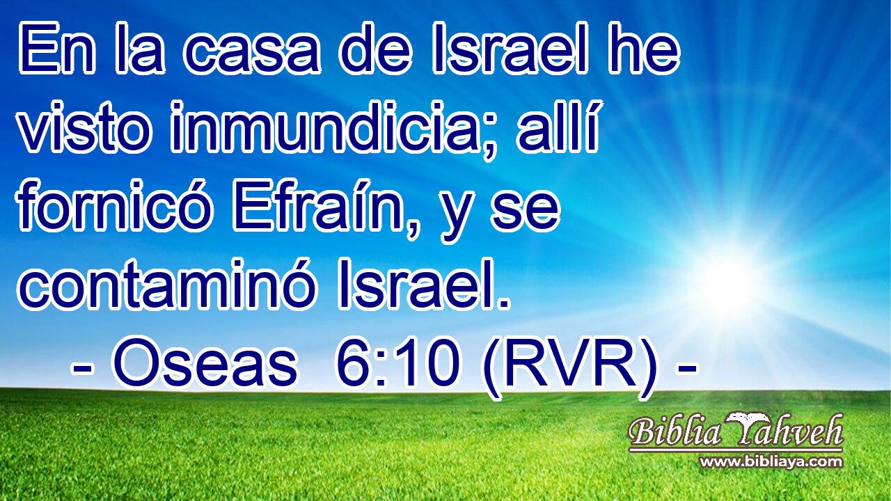En la casa de Israel he visto inmundicia; allí fornicó Efraín, y se contaminó Israel.