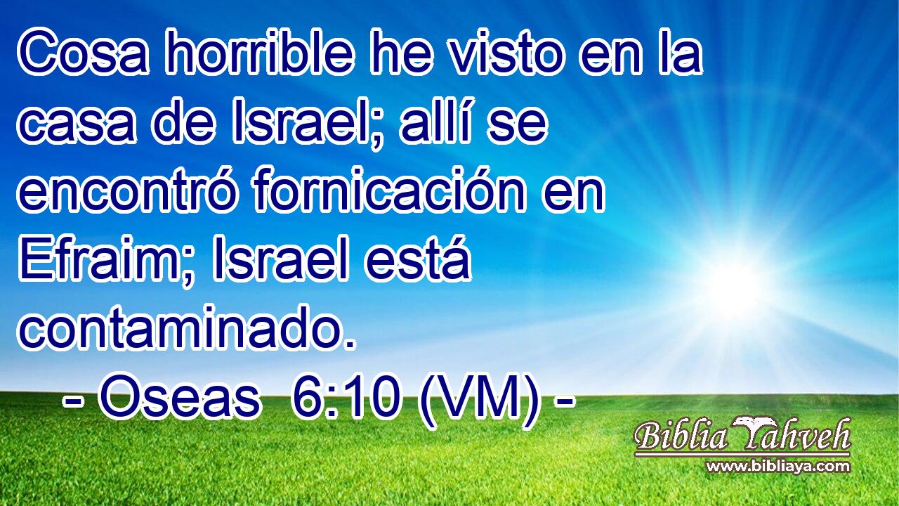  Cosa horrible he visto en la casa de Israel; allí se encontró fornicación en Efraim; Israel está contaminado. 
