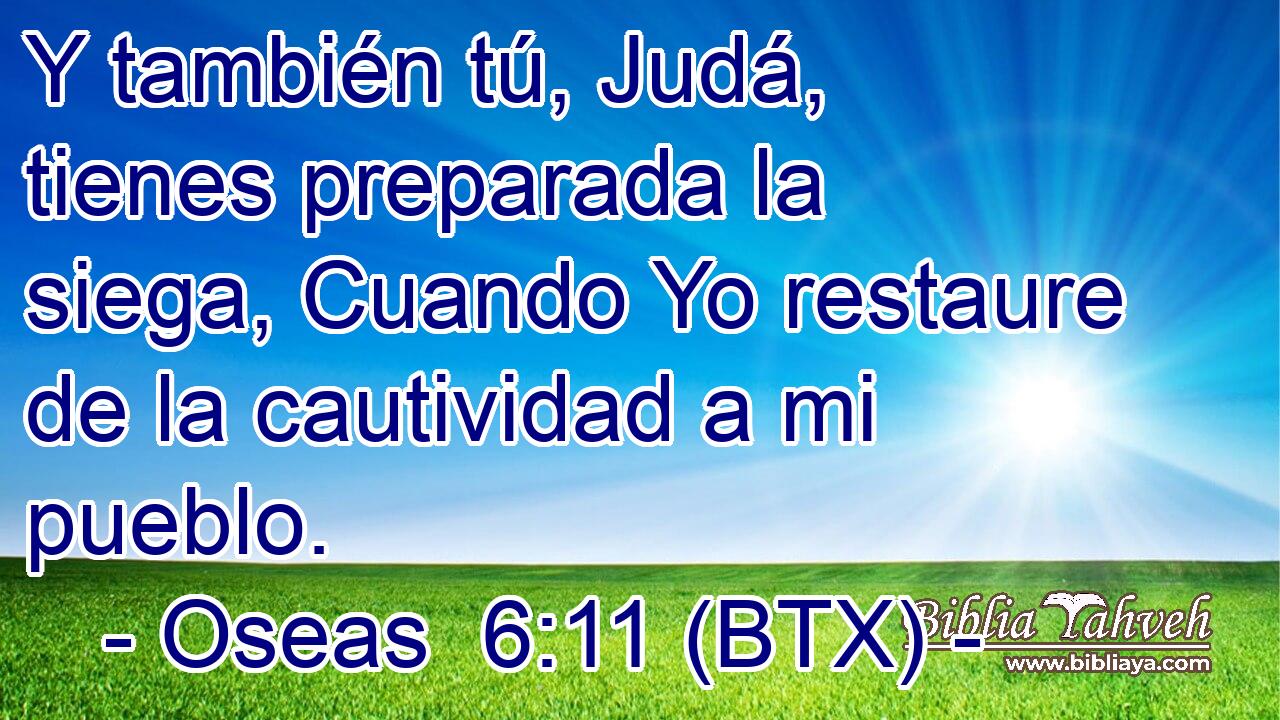 Y también tú, Judá, tienes preparada la siega, Cuando Yo restaure de la cautividad a mi pueblo.