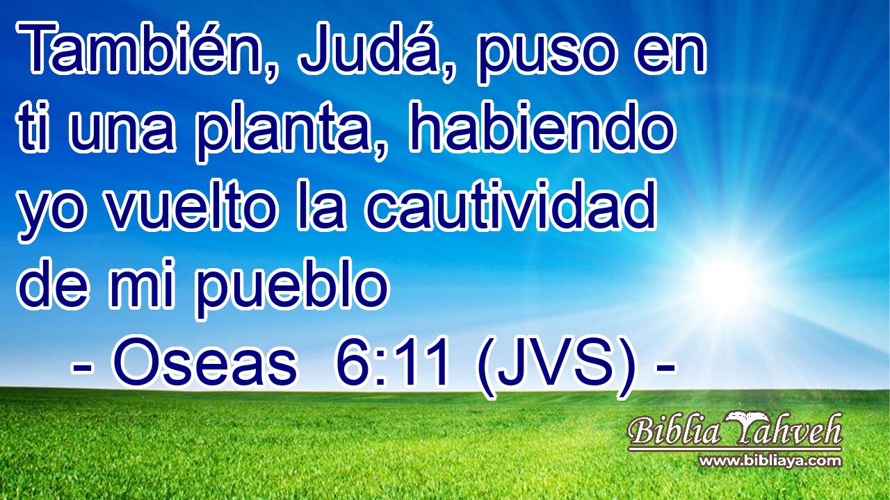 También, Judá, puso en ti una planta, habiendo yo vuelto la cautividad de mi pueblo