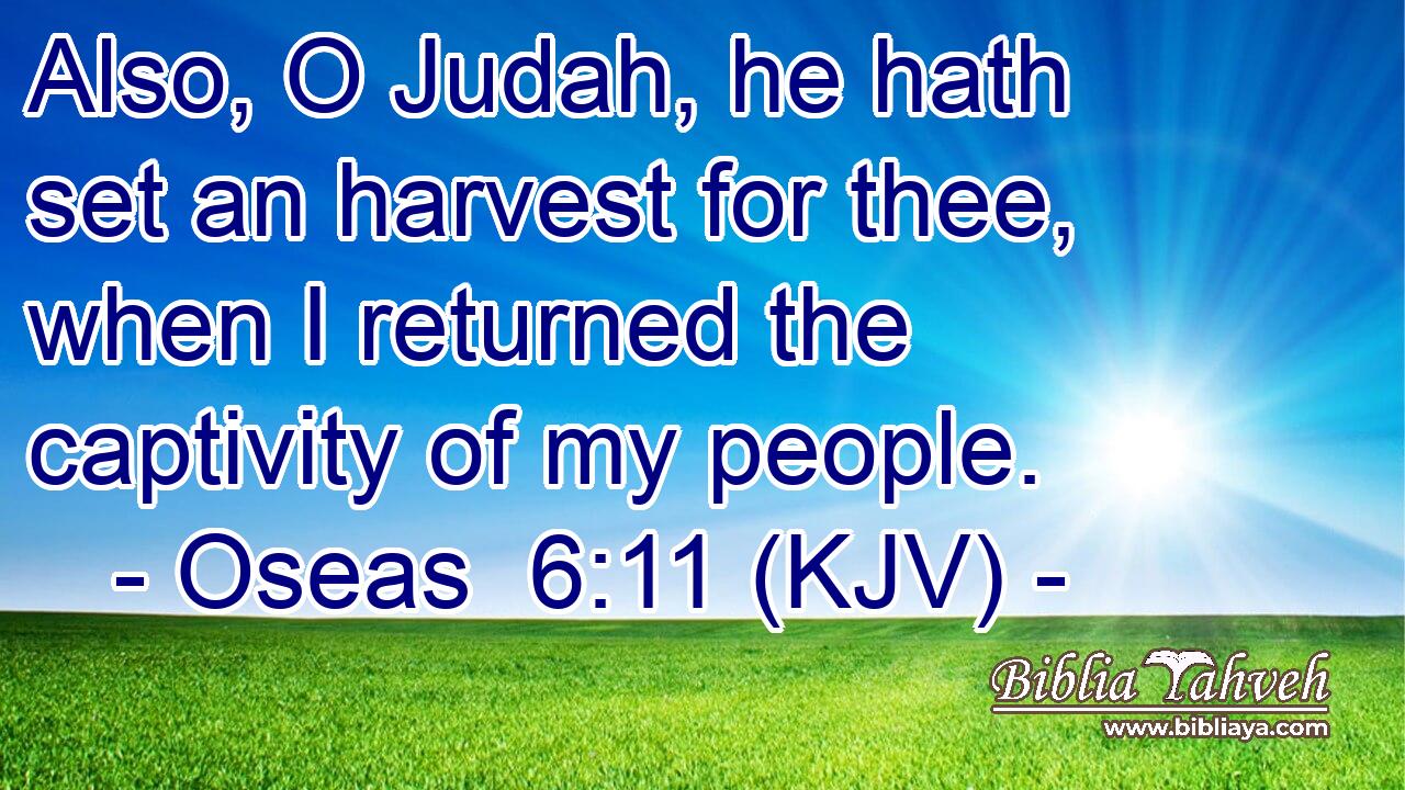 Also, O Judah, he hath set an harvest for thee, when I returned the captivity of my people.