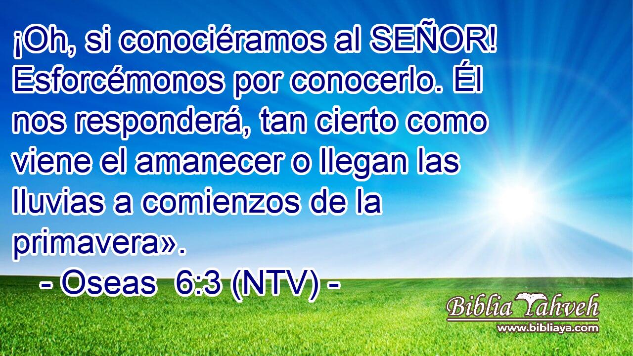 ¡Oh, si conociéramos al SEÑOR! Esforcémonos por conocerlo. Él nos responderá, tan cierto como viene el amanecer o llegan las lluvias a comienzos de la primavera».